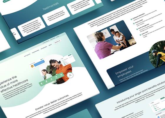 stills of holista website pages